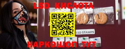spice Отрадное