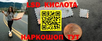 spice Отрадное